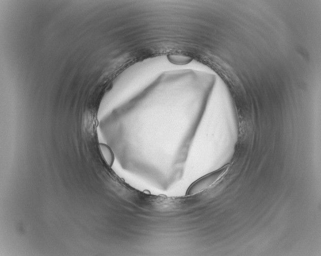 X0000115730142200912031414
