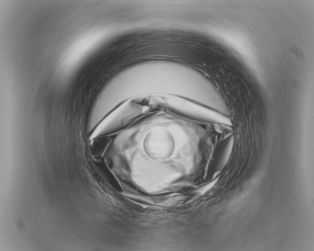 X0000115730146200912031414