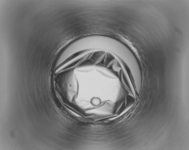 X0000115730154200912031414