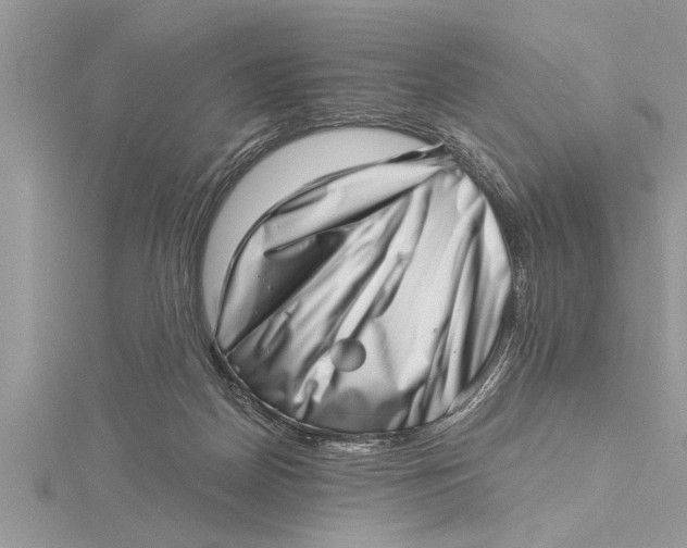 X0000115730170200912031414