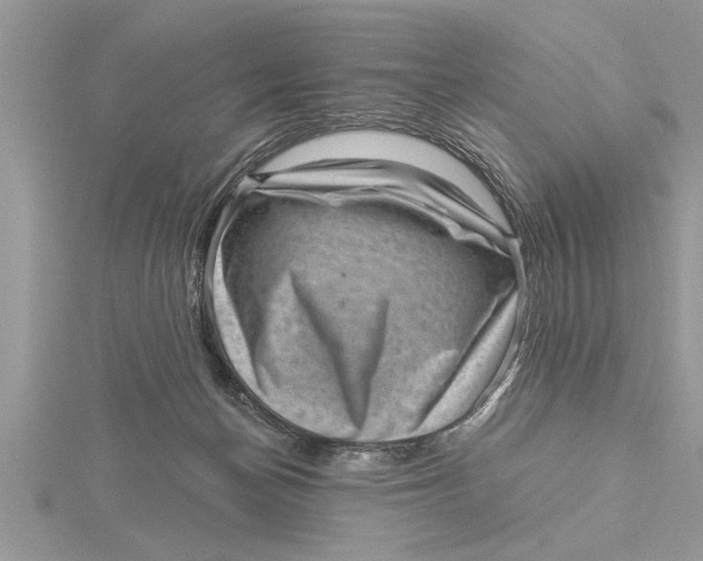 X0000115730174200912031414
