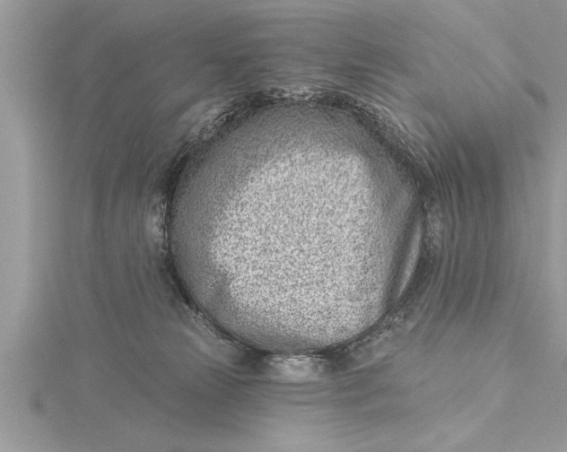 X0000115730181200912031414