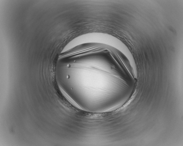 X0000115730186200912031414