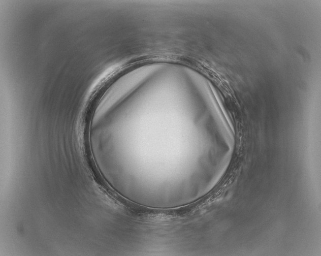 X0000115730197200912031413