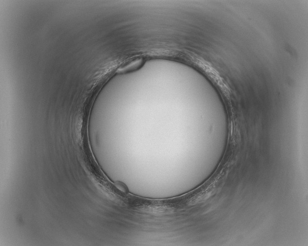 X0000115730201200912031413