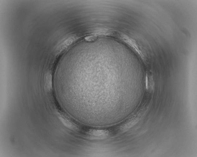 X0000115730205200912031413