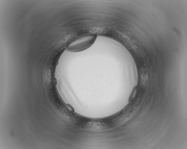 X0000115730211200912031413