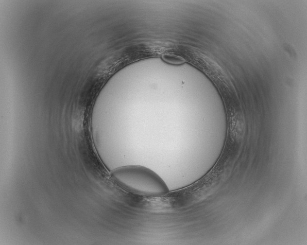 X0000115730221200912031413