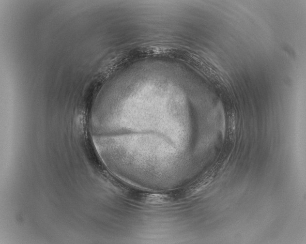 X0000115730222200912031413