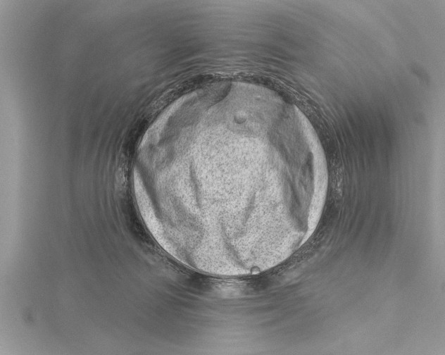X0000115730226200912031413