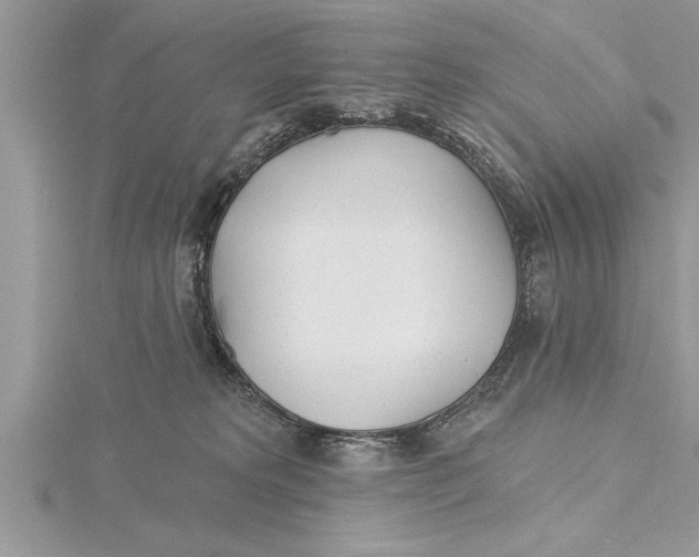 X0000115730229200912031413