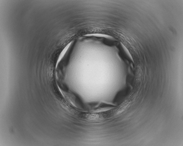 X0000115730230200912031413