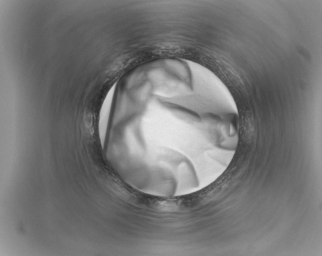 X0000115730232200912031413