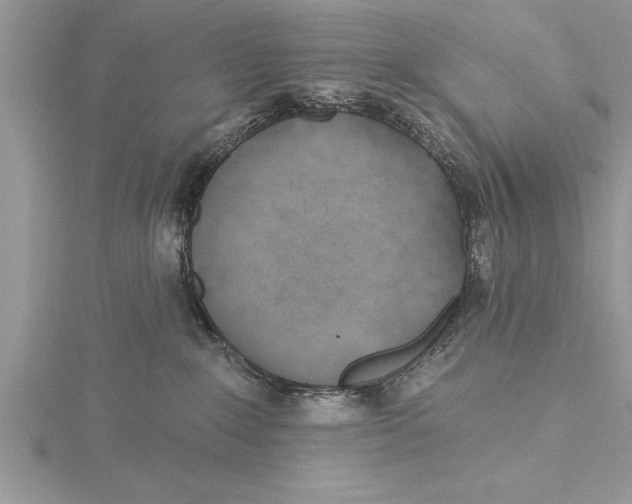 X0000115730235200912031413