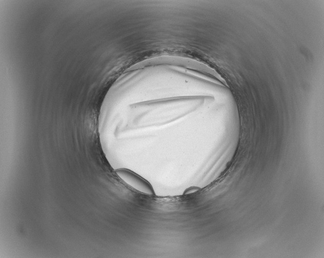 X0000115730240200912031413
