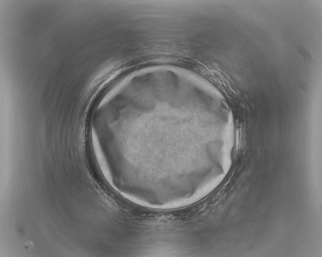 X0000115730243200912031412
