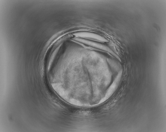 X0000115730247200912031412