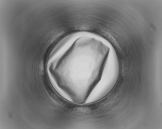 X0000115730251200912031412