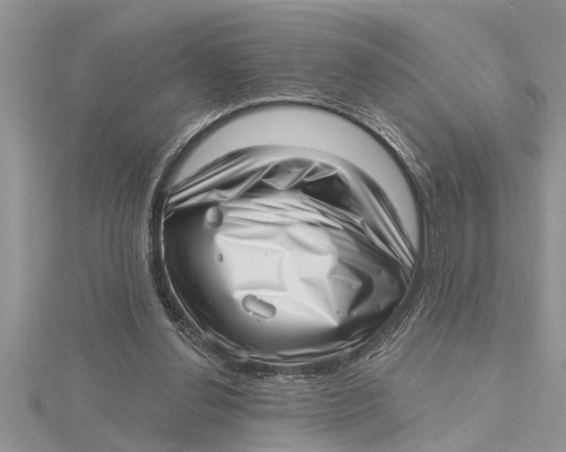X0000115730252200912031412