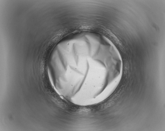 X0000115730257200912031412