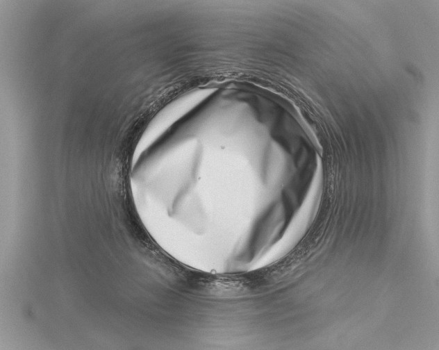 X0000115730270200912031413