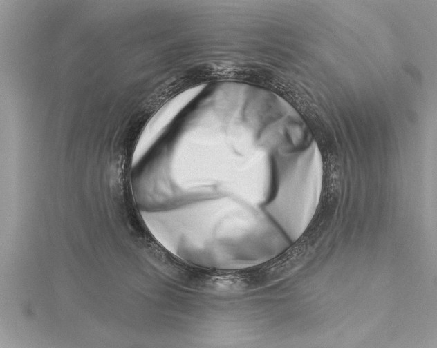 X0000115730275200912031413