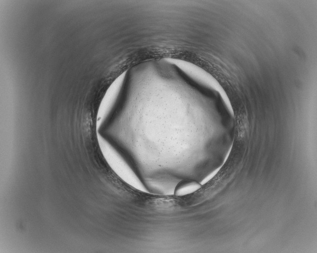 X0000115730279200912031413