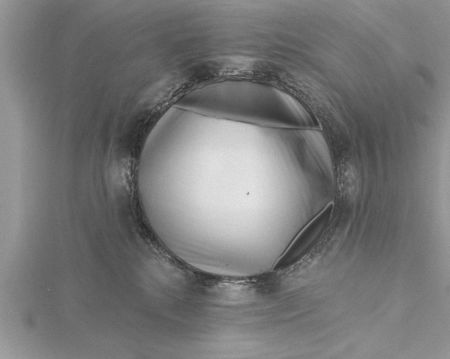 X0000115730280200912031413