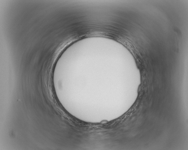 X0000115730289200912031412