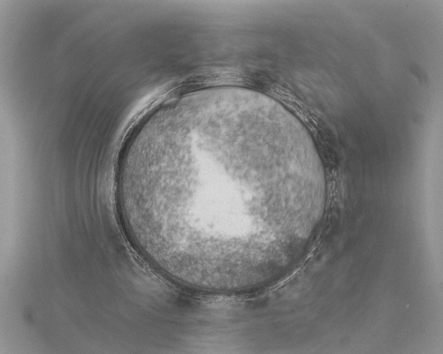 X0000115730293200912031412