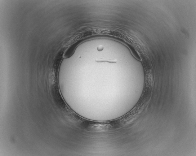 X0000115730323200912031412