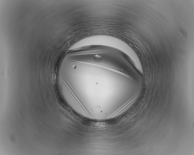 X0000115730324200912031412