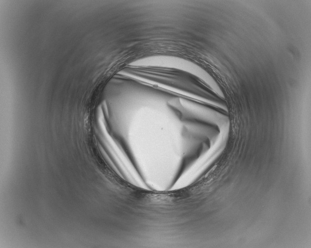 X0000115730327200912031412