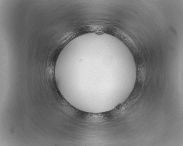 X0000115730329200912031412
