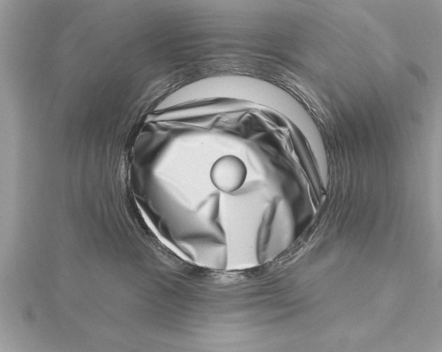 X0000115730333200912031412
