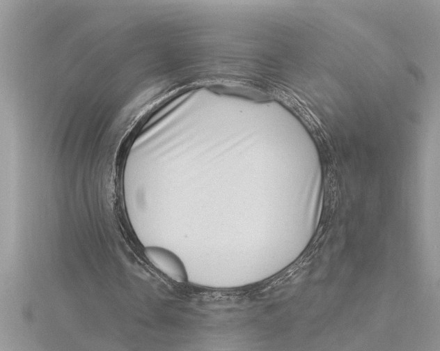 X0000115730338200912031411