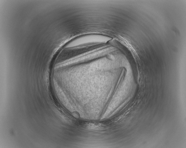 X0000115730346200912031411