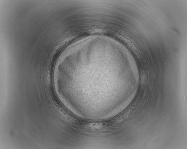 X0000115730353200912031411