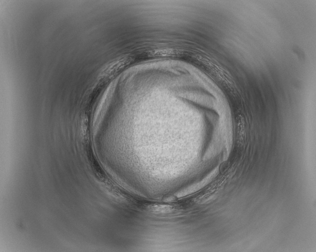 X0000115730361200912031411