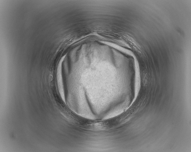 X0000115730365200912031411