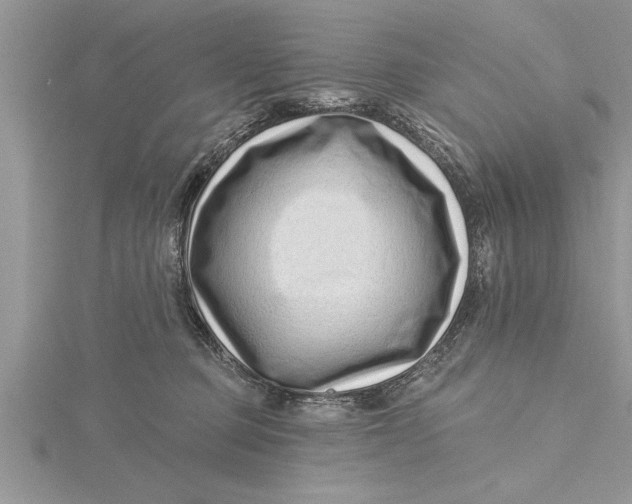 X0000115730373200912031411