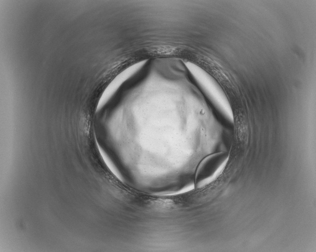 X0000115730374200912031412