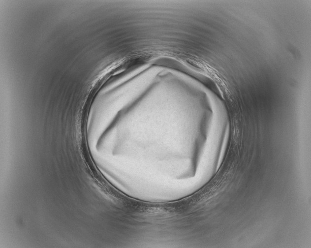 X0000115730390200912031411