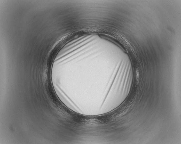 X0000115730396200912031411