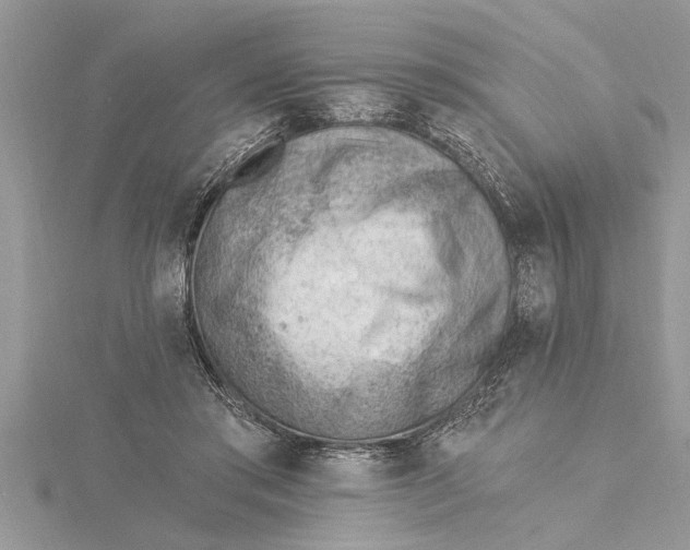 X0000115730405200912031411