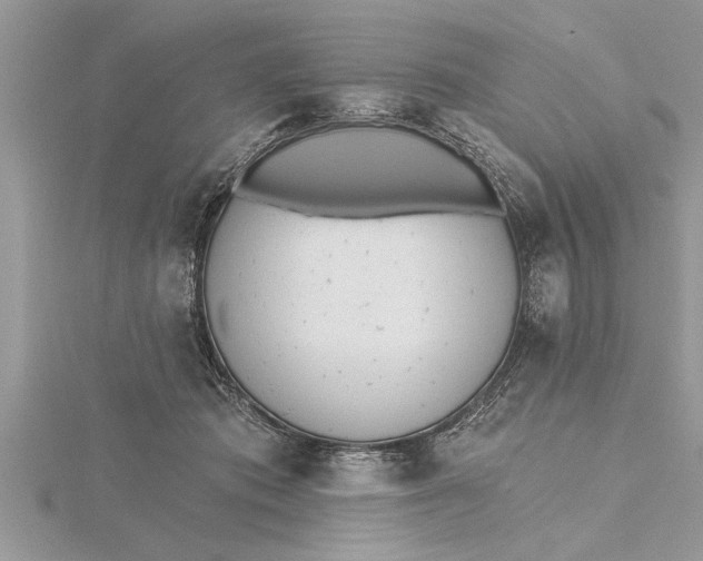 X0000115730413200912031411