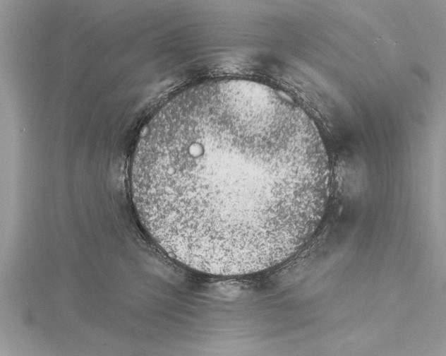 X0000115730423200912031411