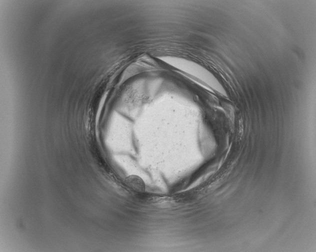 X0000115730424200912031411