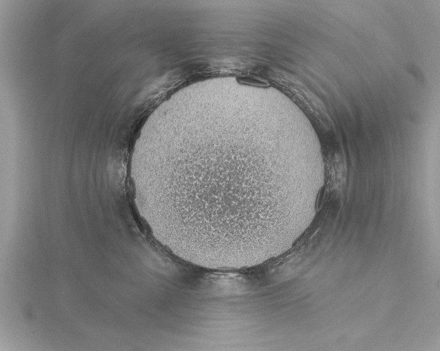 X0000115730427200912031410