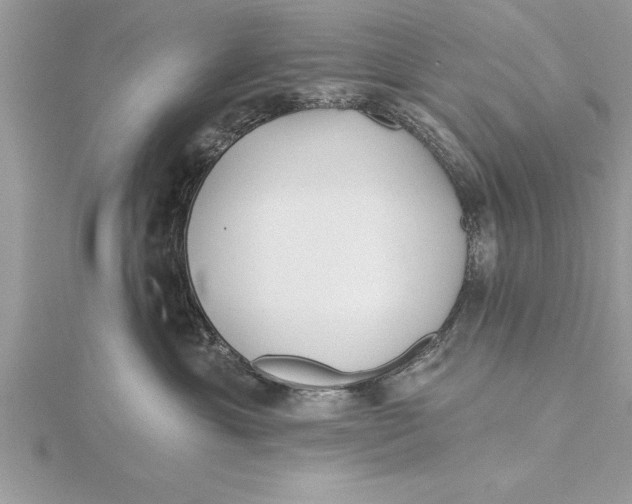 X0000115730429200912031410